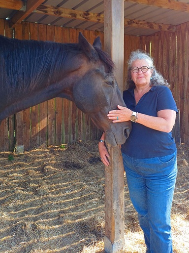 Constellations Familiales et Systémiques – Humains et Chevaux 